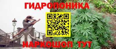 гидропоника Шахты
