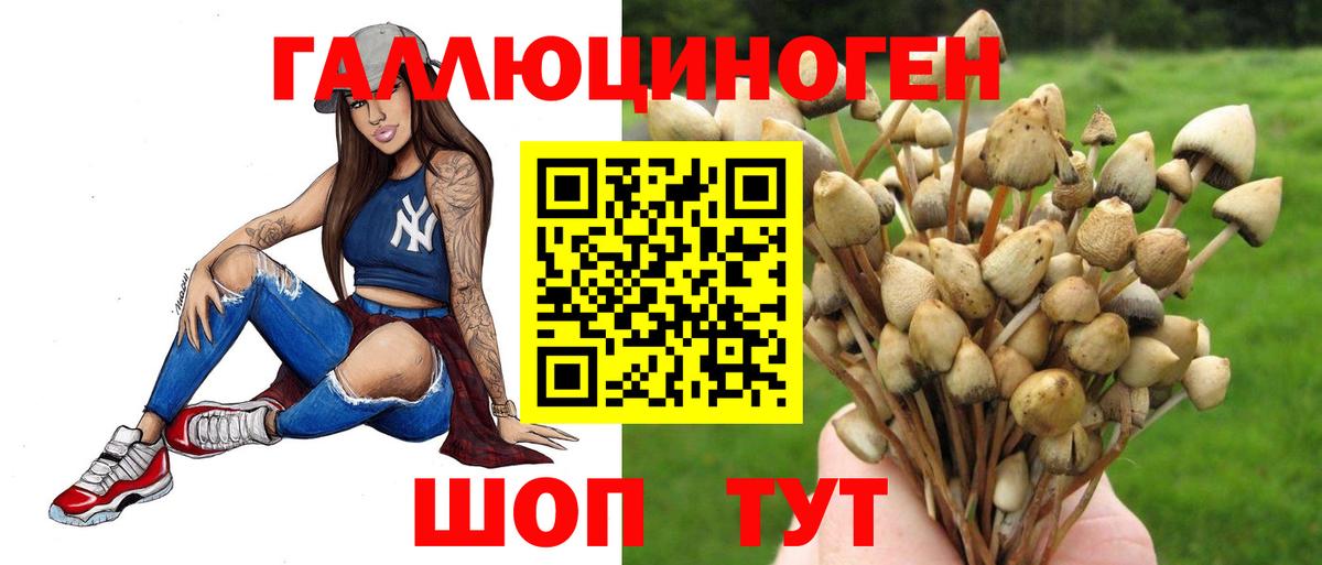 Галлюциногенные грибы мухоморы Биробиджан